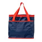 Bolsa Térmica 36 Litros Personalizada - Mínimo 10 - Imagem 6